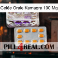 Gelée Orale Kamagra 100 Mg new12